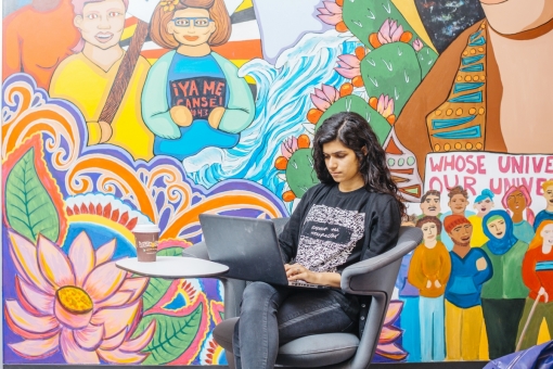 UC Davis student typing on computer in front of mural